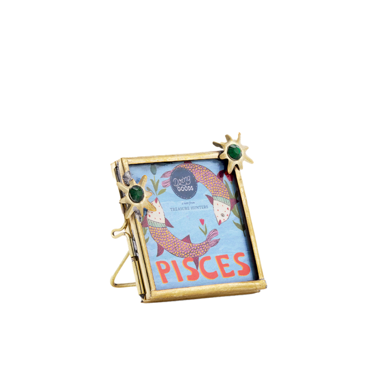 zodiac mini frame