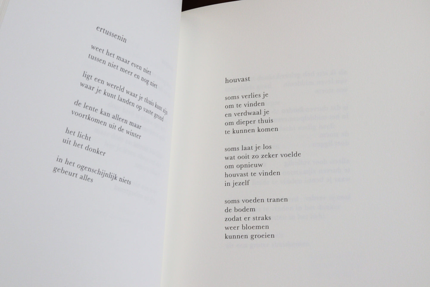 een bundeltje troost boek