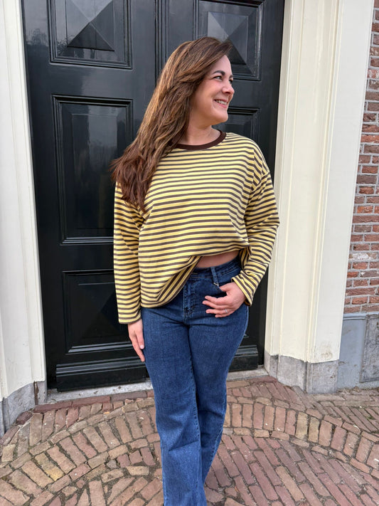 longsleeve bruin/geel