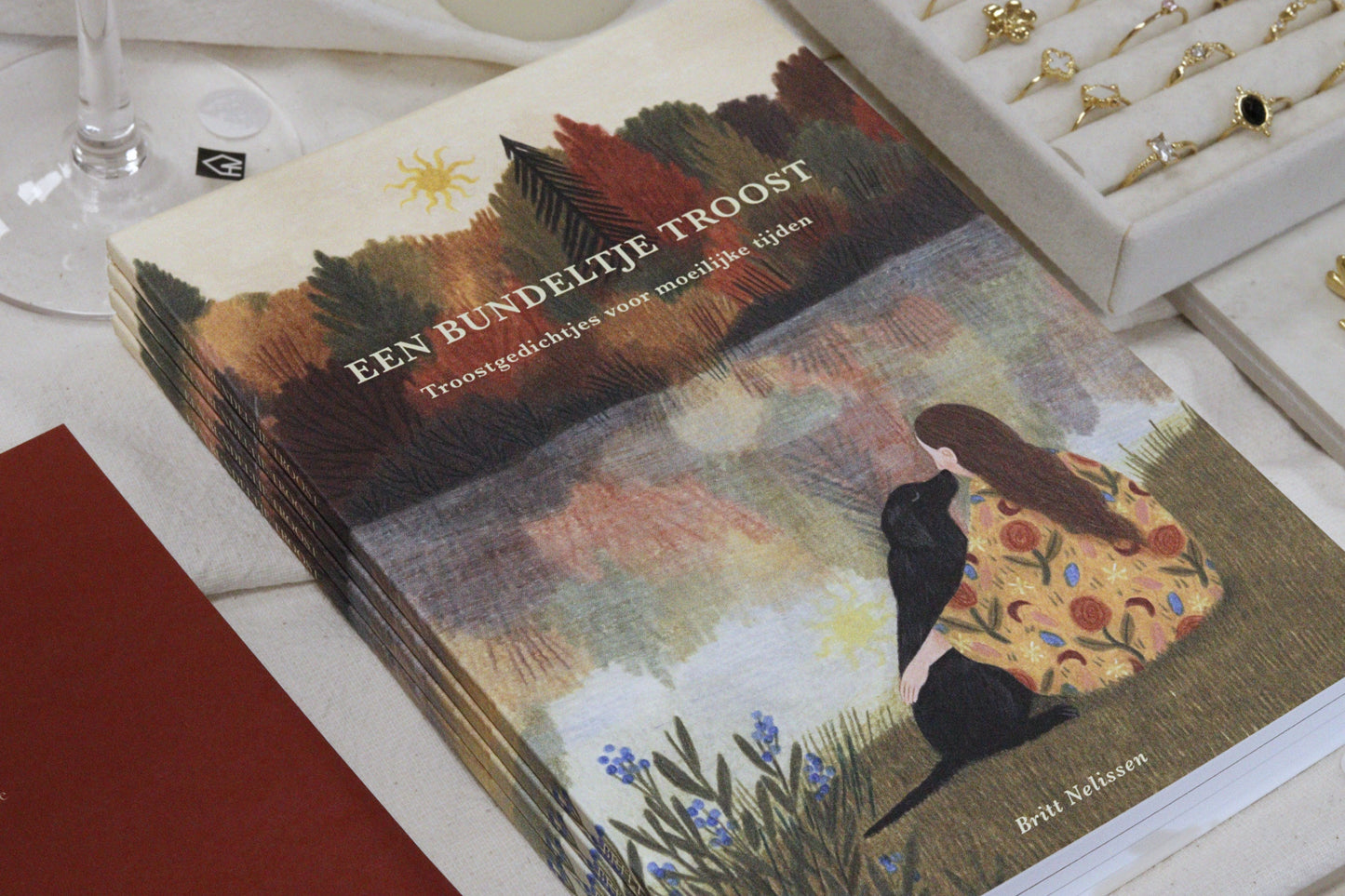 een bundeltje troost boek